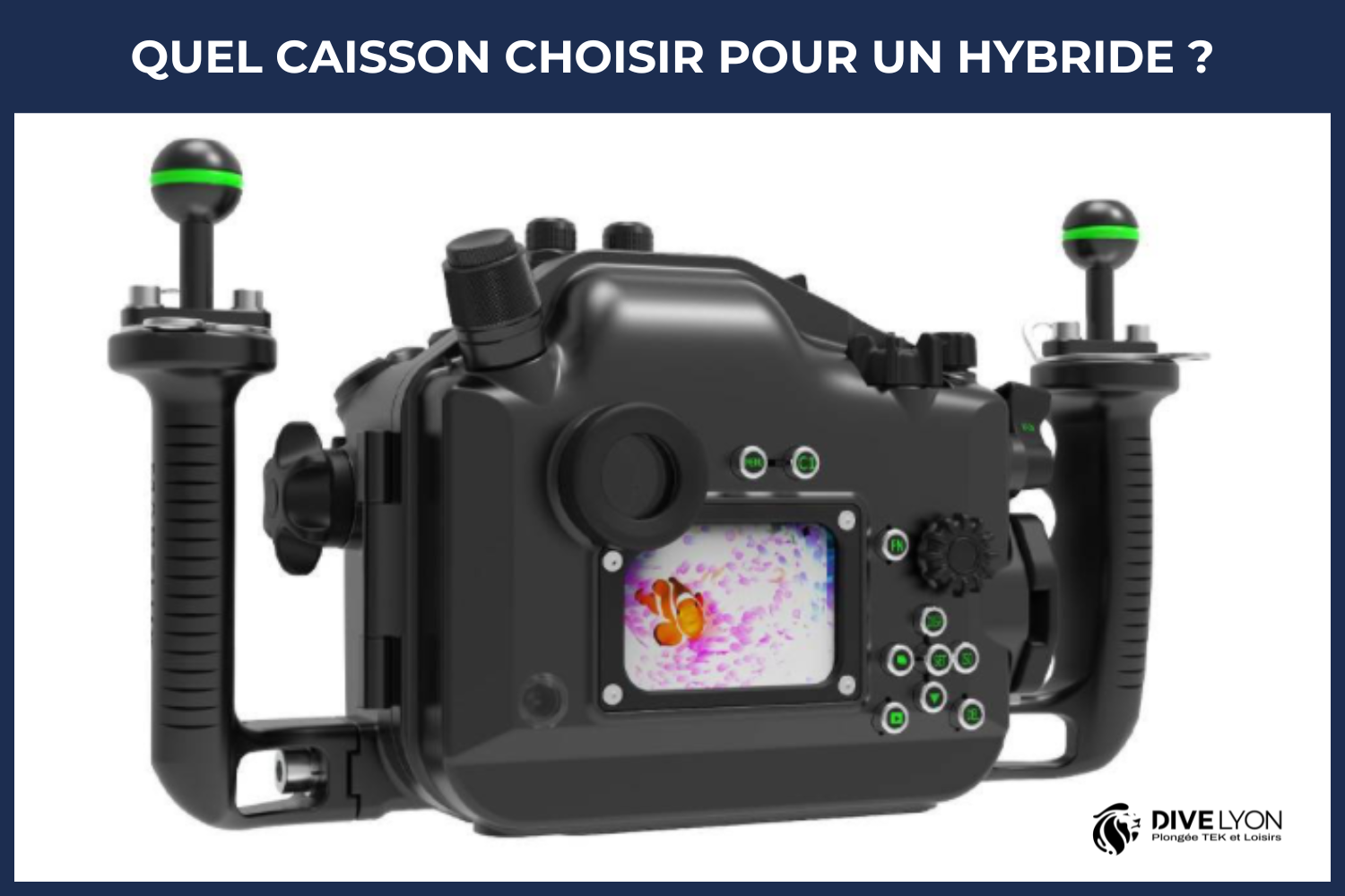 débuter en photo et vidéo sous marine 10