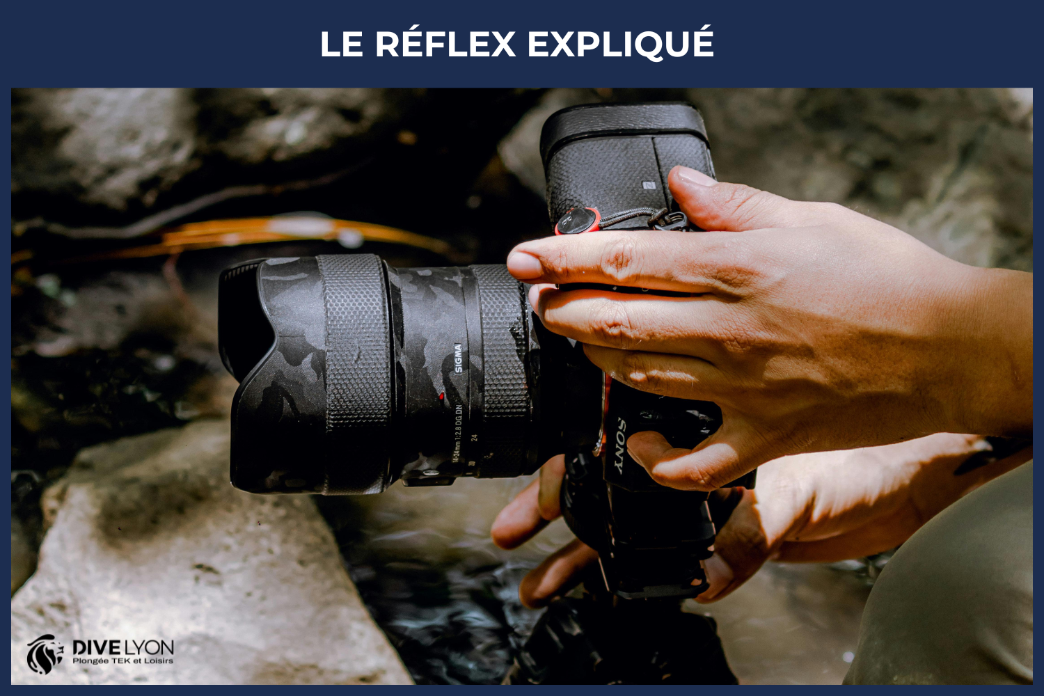 réflex expliqué