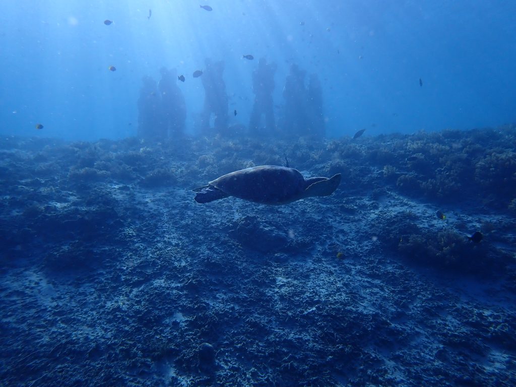 En passant par là …