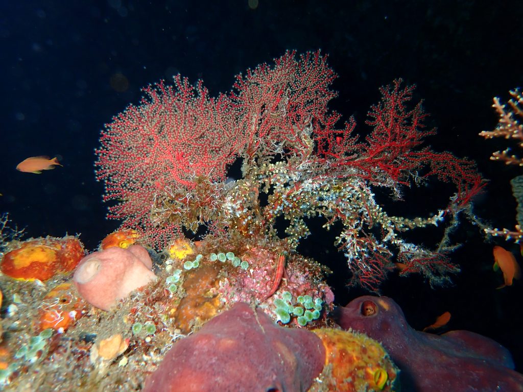 Ambiance dans l'épave