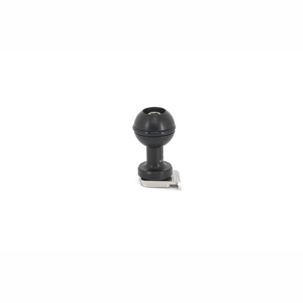 rotule isotta pour griffe flash