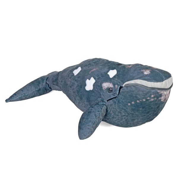 baleine nothern eco 30cm wild republic
