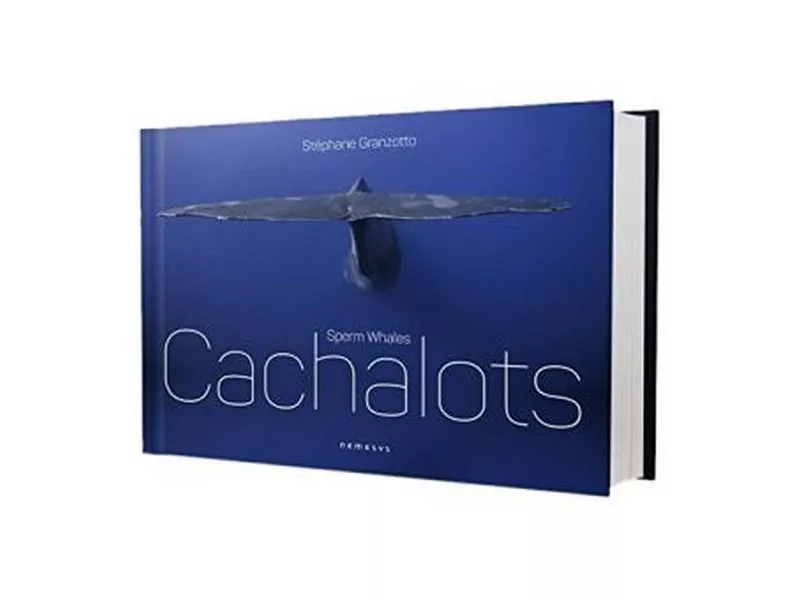 Cachalots