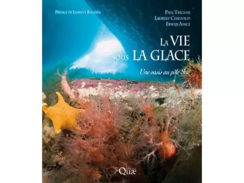 La vie sous la glace, Une oasis au pôle Sud