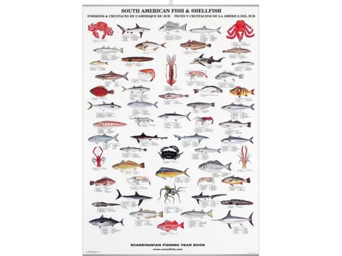 South American Fish & Shellfish